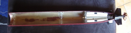 CoqueVide1'.JPG